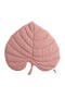  Anthurium Pink
