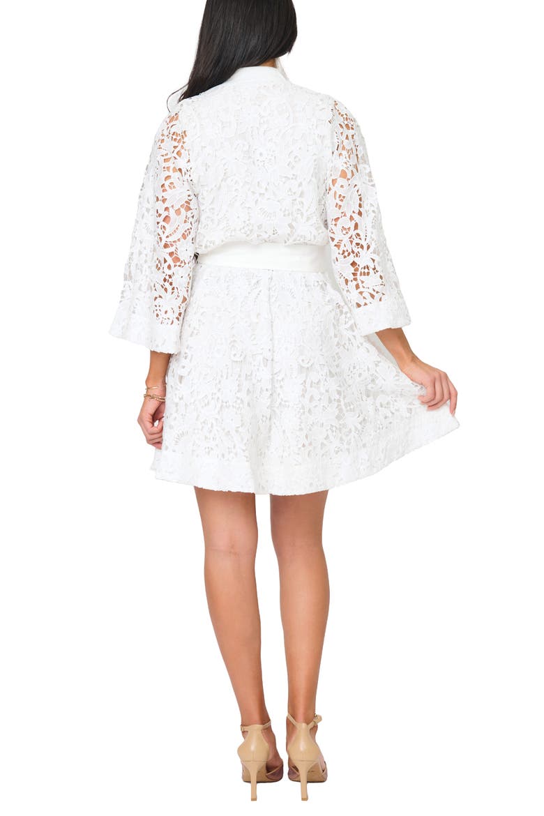 Lovely In Lace Tie Belt Dress, Alternate, color, WHITE LACE