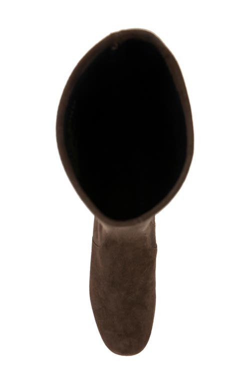 Gentle Souls By Kenneth Cole Emma Stretch Knee High Boot In Brown