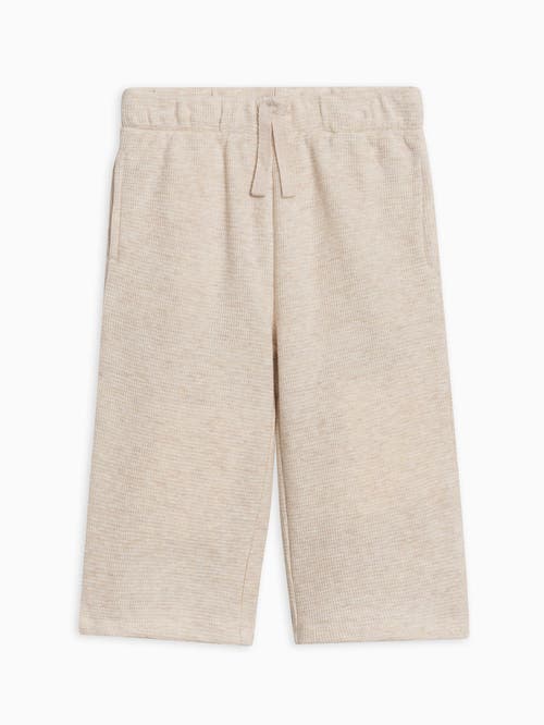 Kendi Clove Waffle Knit Pants In Neutral