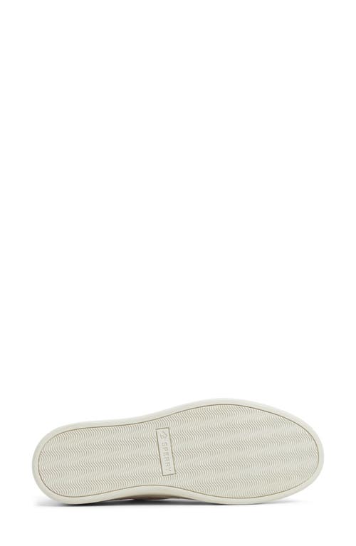 SPERRY SPERRY CANDY CVO CHECK PRINT CANVAS SNEAKER 