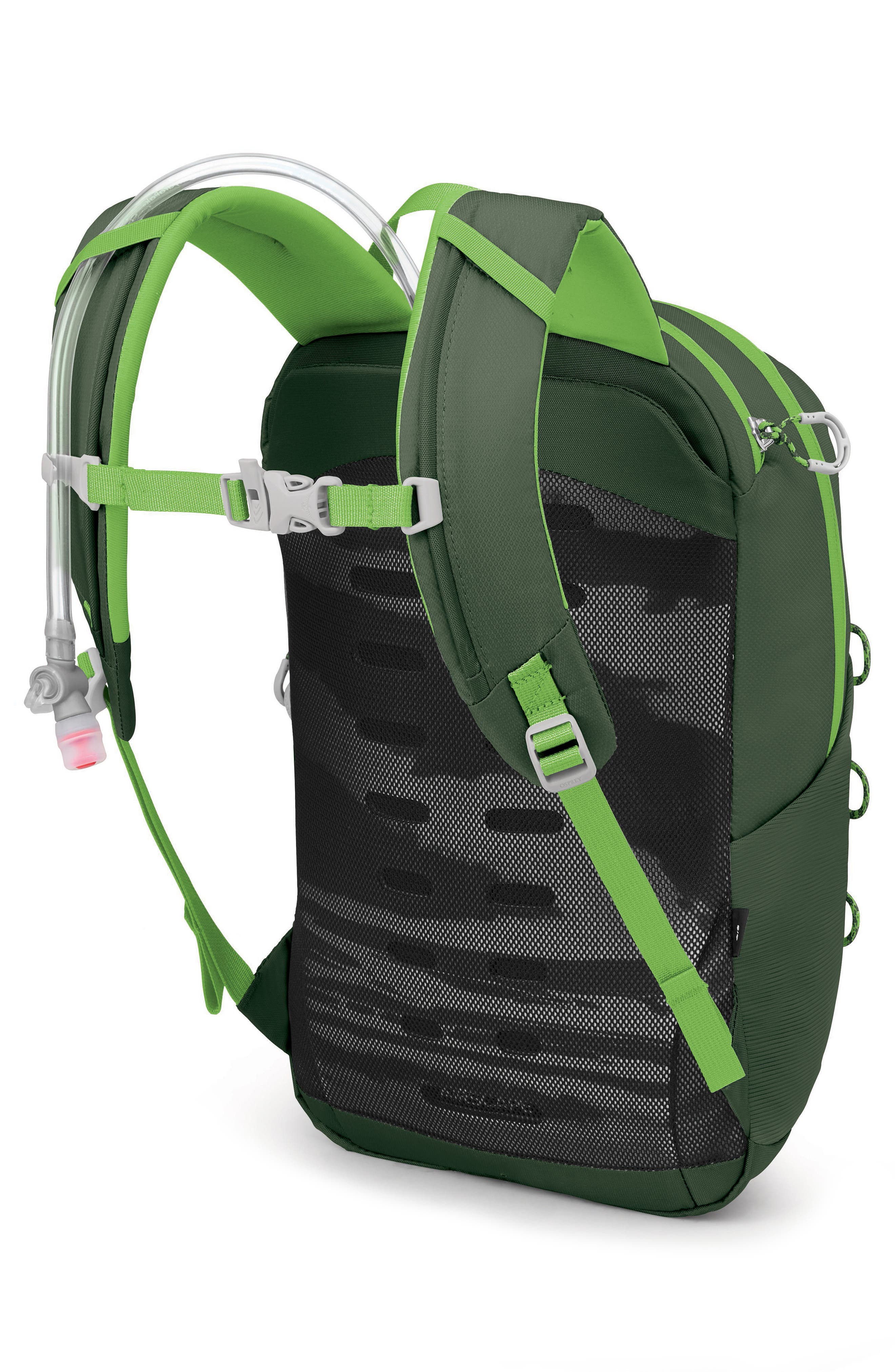 Osprey Kids
 Hydrajet 12-Liter Water Resistant Backpack, Alternate, color, Green Canopy