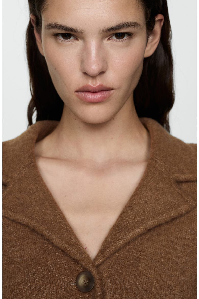 Notch Collar Crop Knit Jacket, Alternate, color, MEDIUM BROWN