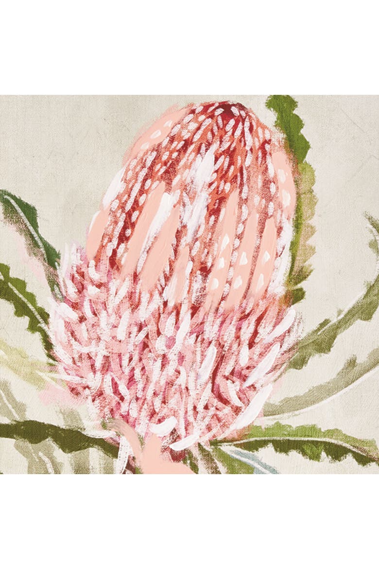 Queen Protea Giclees, Set of 3 - Pink Canvas Art, Alternate, color, Pink