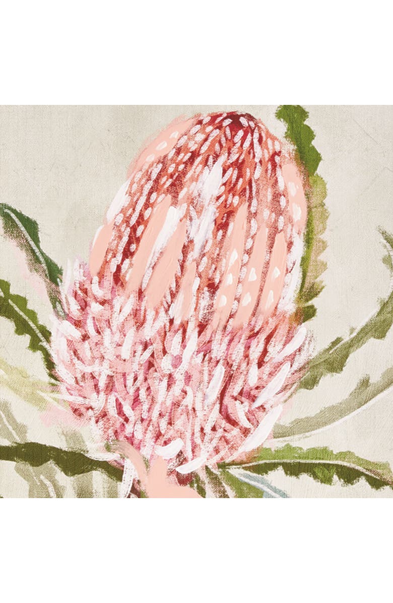 Napa Home & Garden Queen Protea Giclees, Set of 3 - Pink Canvas Art, Alternate, color, Pink