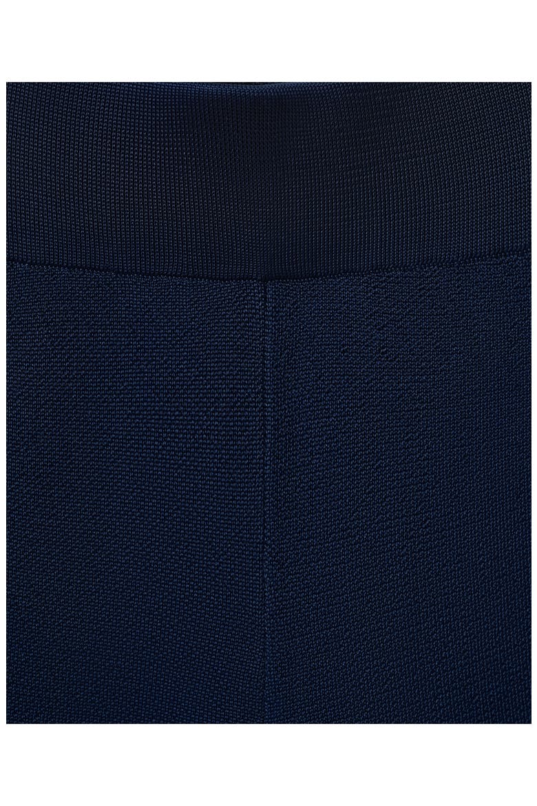 Knit Pull-On Wide Leg Pants, Alternate, color, NAVY