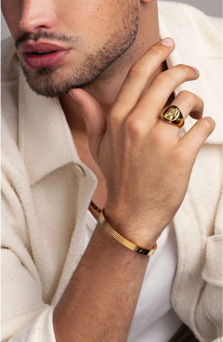 Nialaya Lion Crest Ring, Alternate, color, Gold