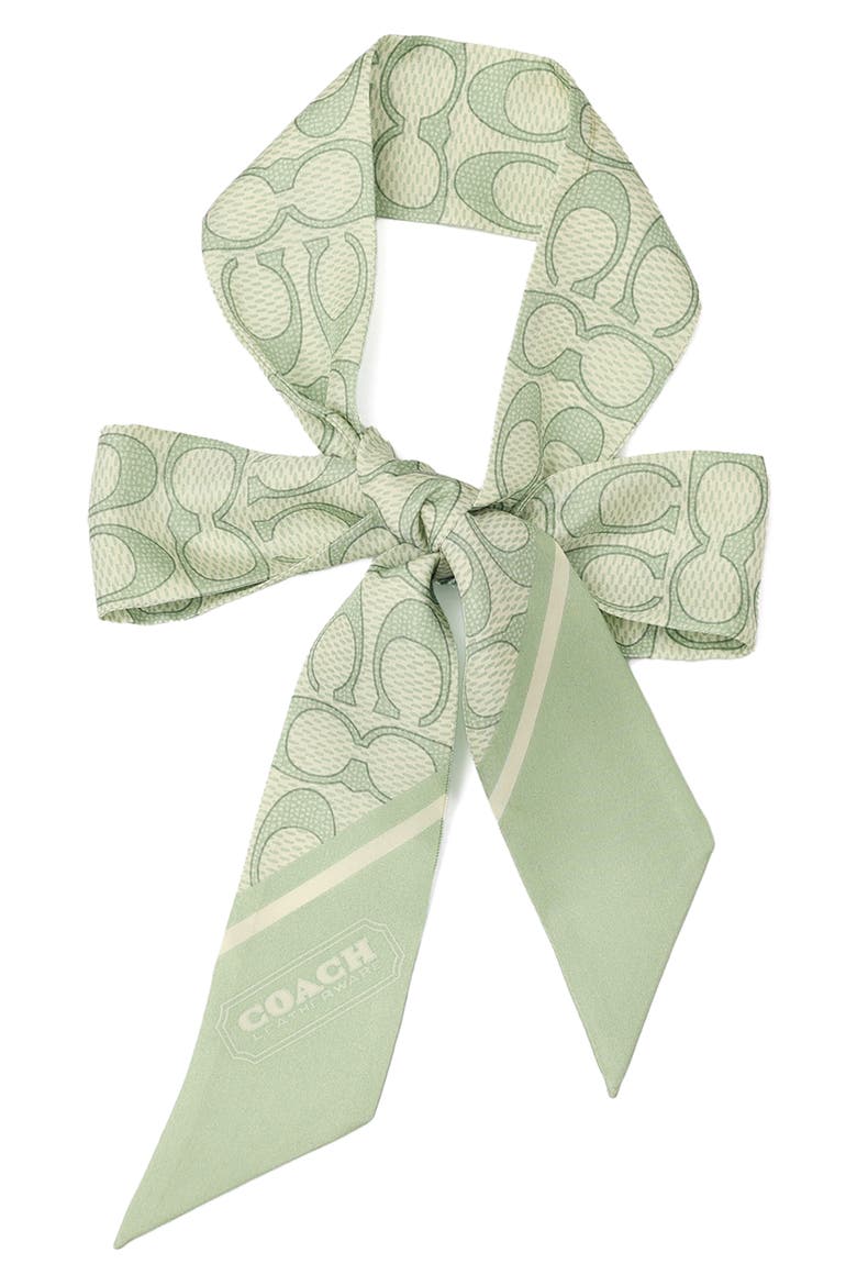 Textured Signature Logo Silk Scarf, Alternate, color, MINT