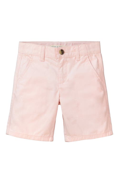 Hope & Henry Baby Boys' Chino Short, Infant in Light Pink  product