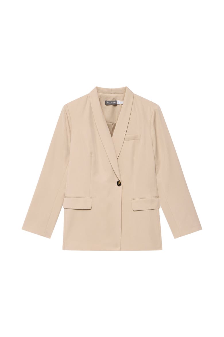 Single Breasted Blazer, Alternate, color, Neutral
