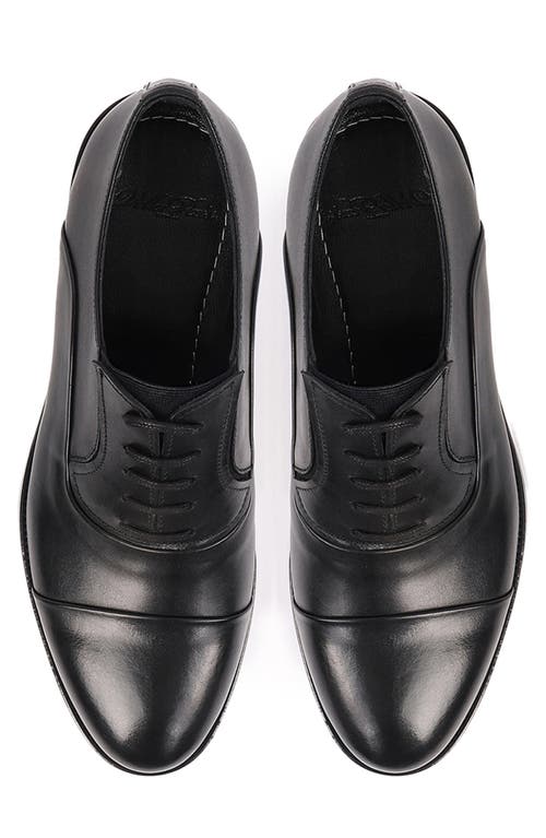 Vellapais Otto Oxford In Black