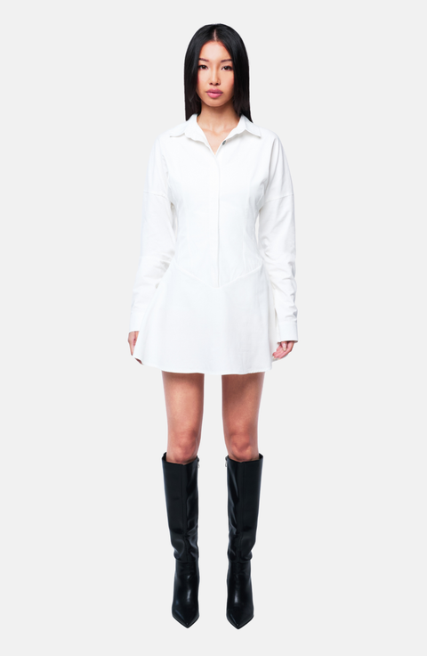 Ellie Shirt Dress