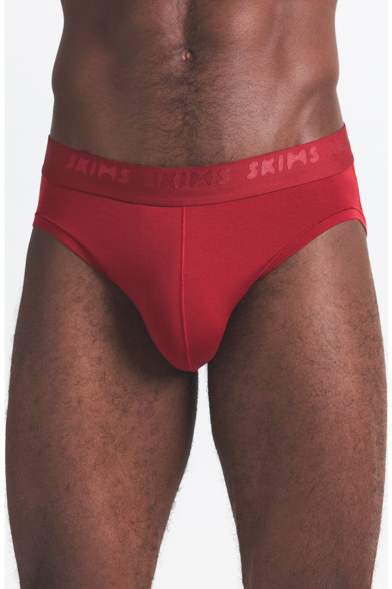 Men's 3-Pack Seamless Modal Blend Briefs, Alternate, color, WOOD MULTI