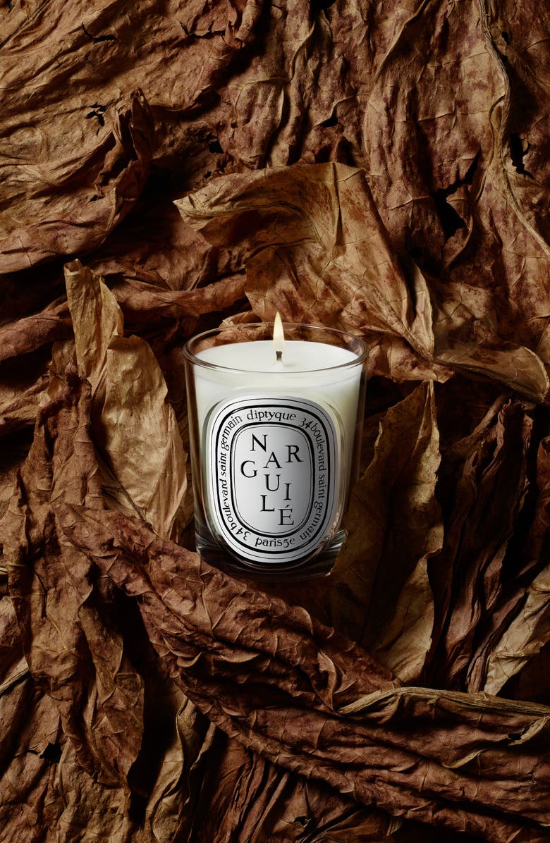 Diptyque Narguilé Classic Candle, Alternate, color, 