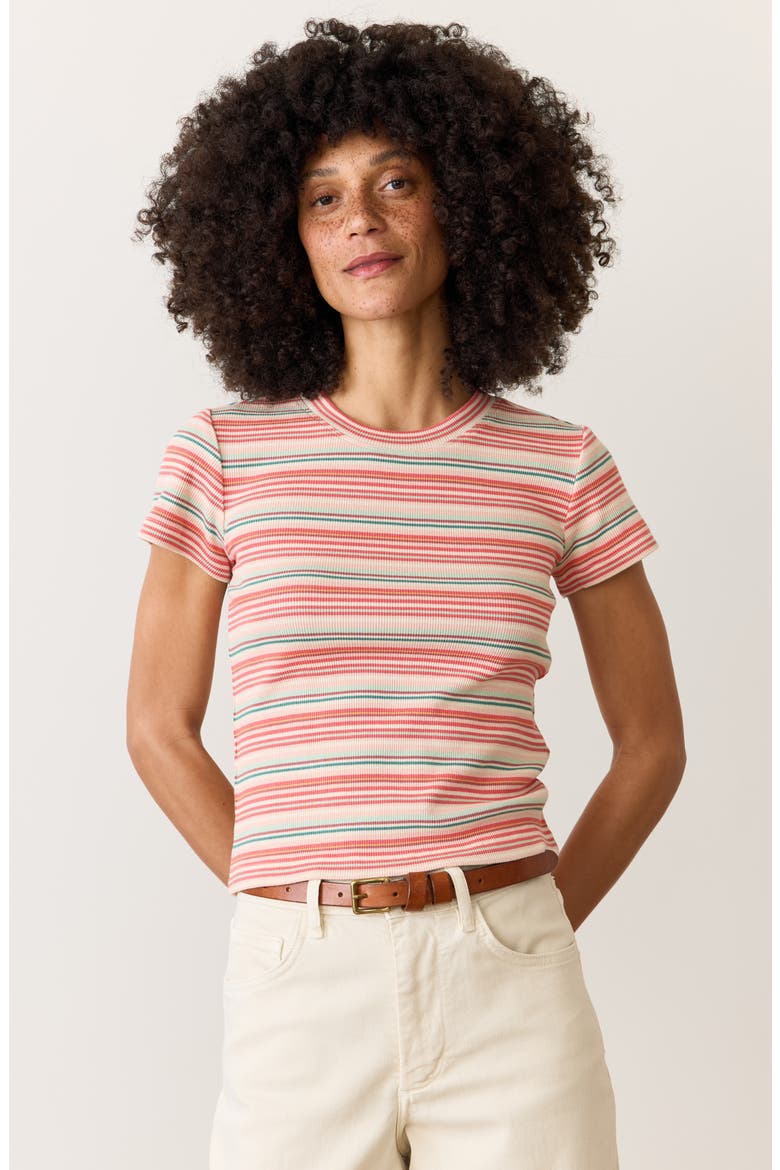 Lexi Sun-In Stripe Crewneck Rib T-Shirt, Alternate, color, RED MULTI STRIPE