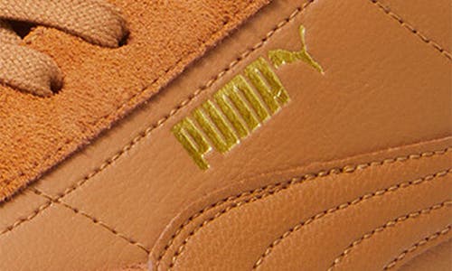 Puma Club Ii Era Leather Sneaker In Brown