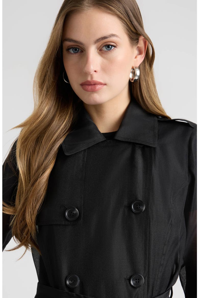 Sheer Trench Coat, Alternate, color, BLACK