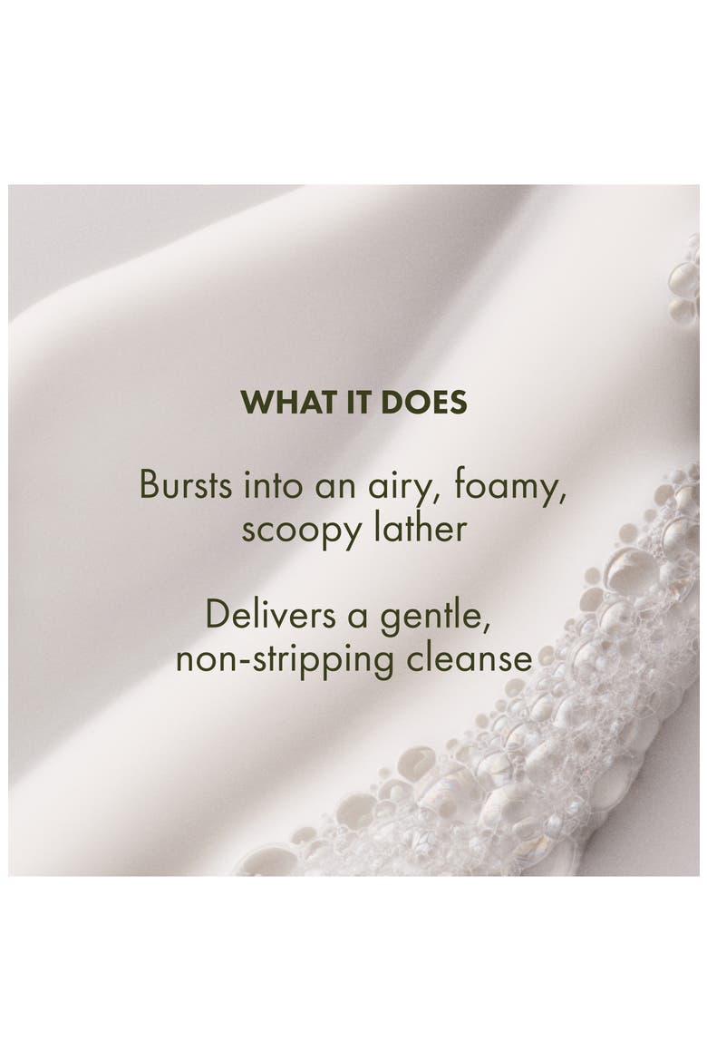 Checks and Balances Gentle Foaming Face Wash, Alternate, color, NO COLOR