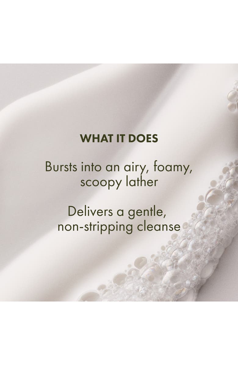 Origins Checks and Balances Gentle Foaming Face Wash, Alternate, color,