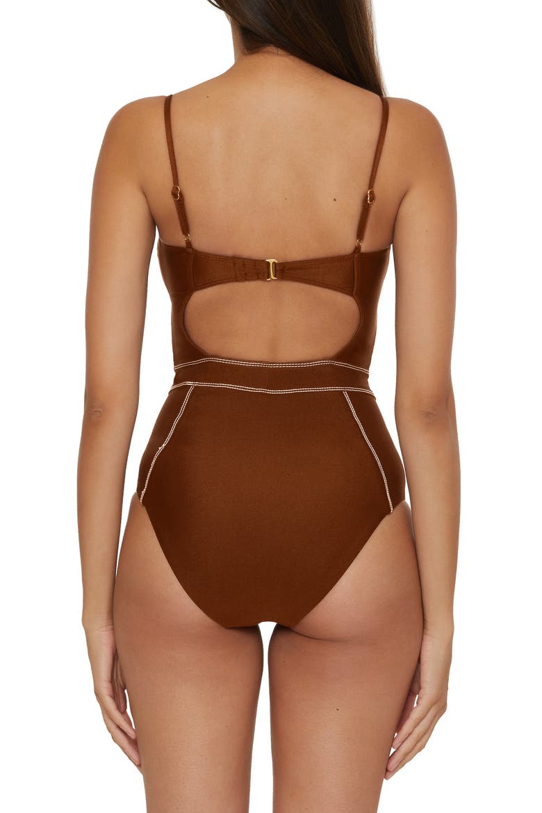 Color Sheen One-Piece Swimsuit, Alternate, color, DARK COCO