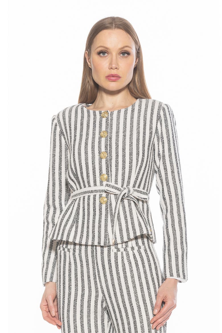 Arjun Stripe Jacket, Alternate, color, NAVY STRIPE