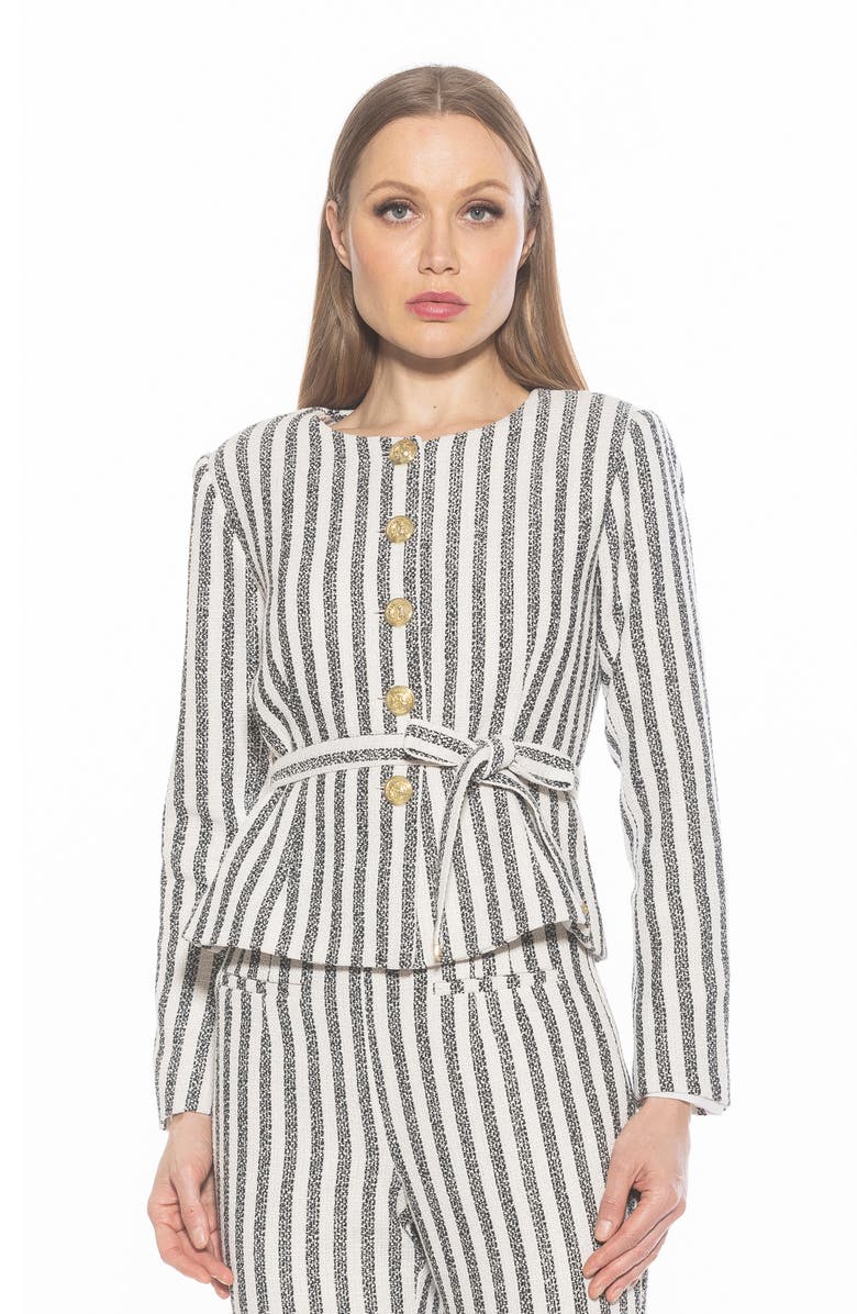 Alexia Admor Arjun Stripe Jacket, Alternate, color, Navy Stripe