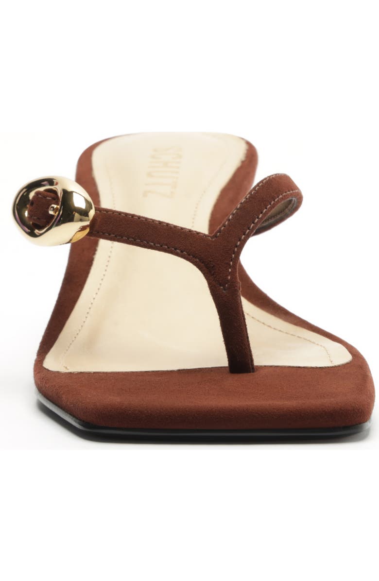 Schutz Miriam Slide Sandal, Alternate, color, Chestnut Brown