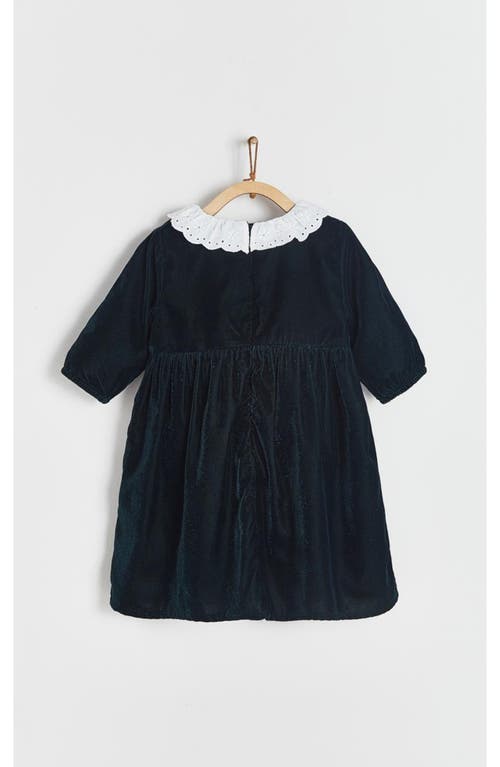 Babycottons Christmas Plush Collar Dress For Infant In Black