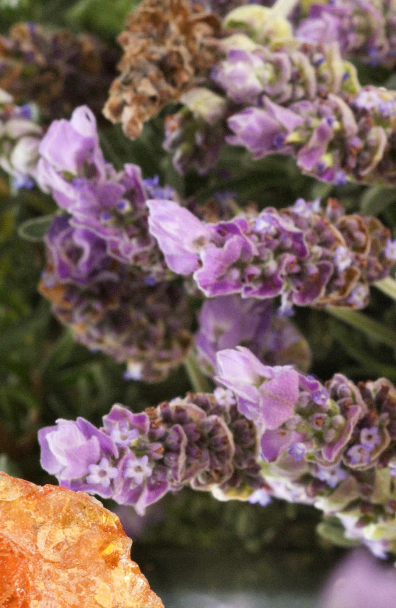 Jo Malone London<sup>™</sup> Amber & Lavender Body & Hand Wash, Alternate, color, 