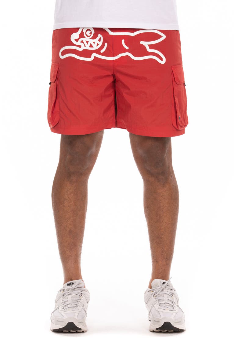 Breeze Cargo Shorts, Main, color, POMPEIAN RED