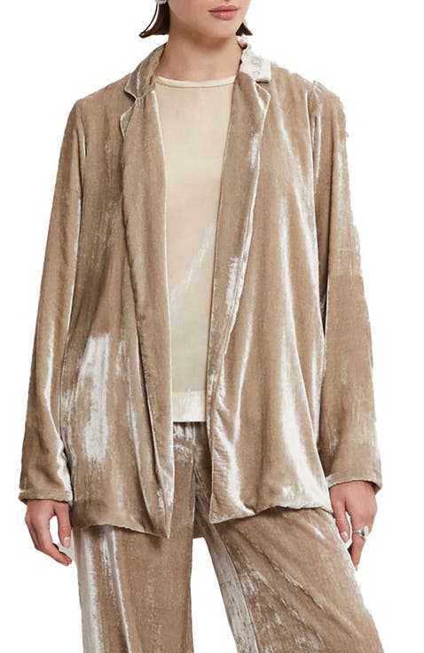 Velvet Blazer