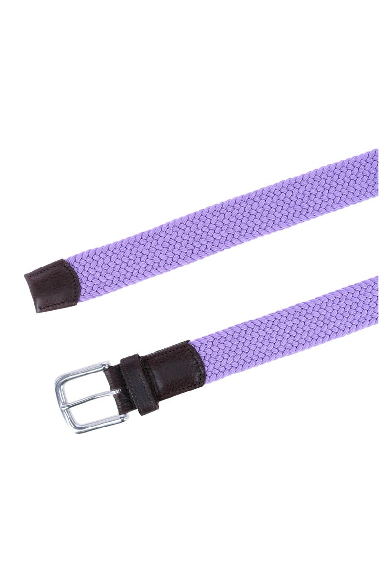 Riverside Solid Stretch Weave Belt, Alternate, color, Light Purple