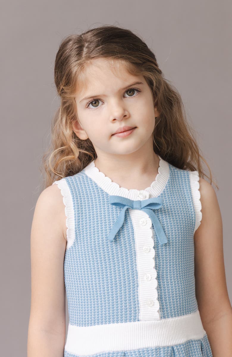 Hope & Henry Kids' Organic Button Front Tank Sweater Dress, Alternate, color, Bluebell