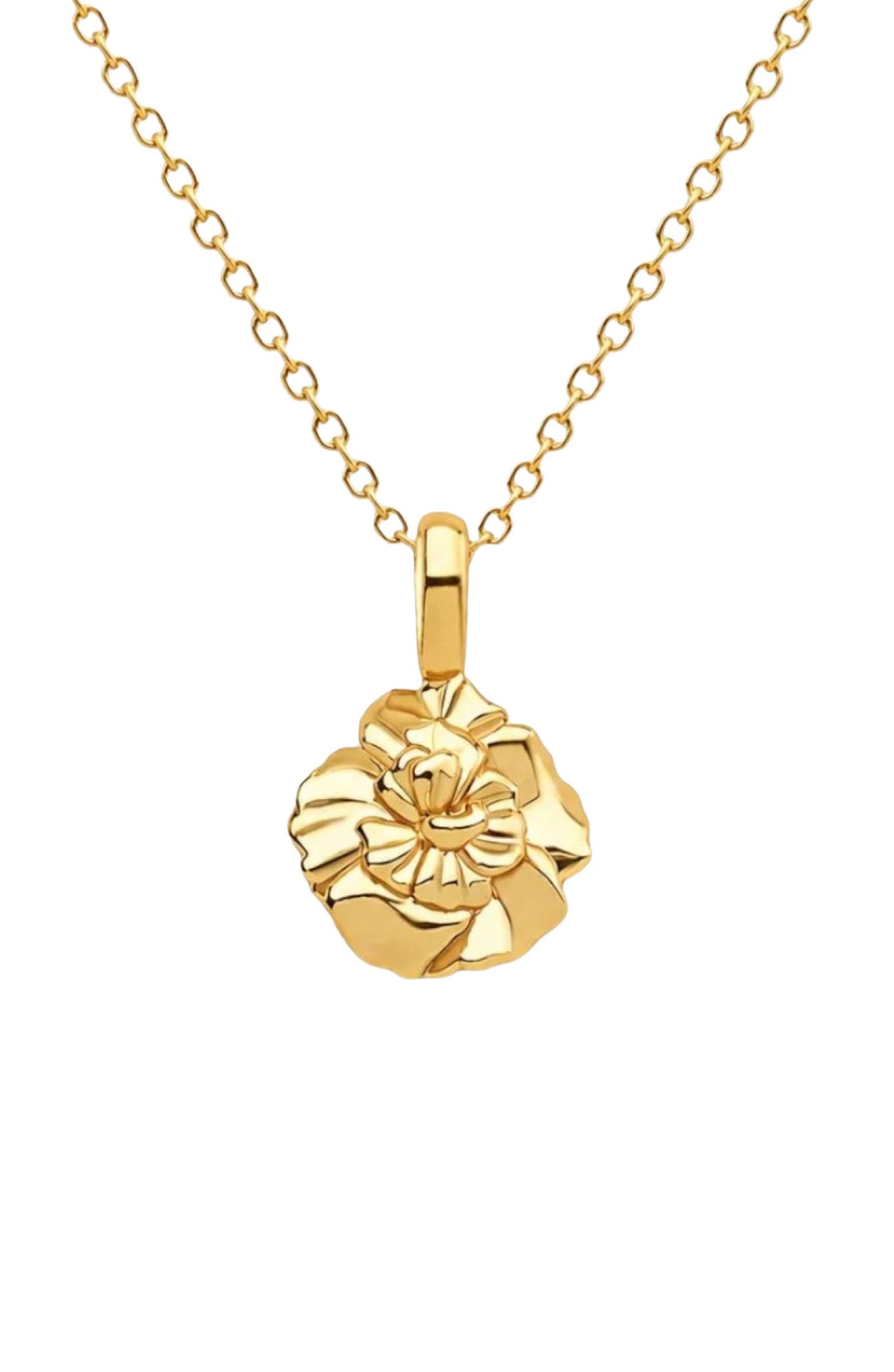 Gold Vermeil - January
