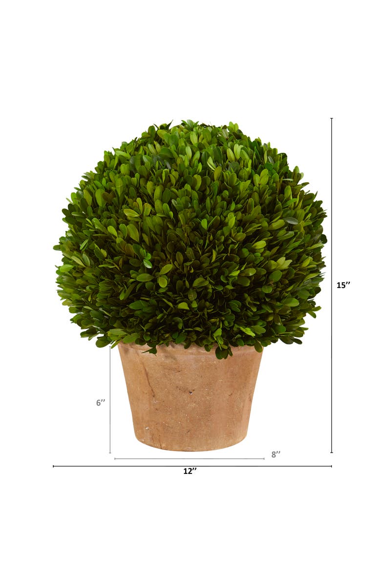 15-in Boxwood Ball Preserved Plant in Planter, Alternate, color, Green