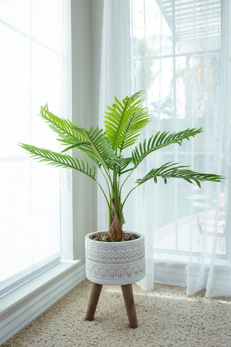 FLORA BUNDA 41
