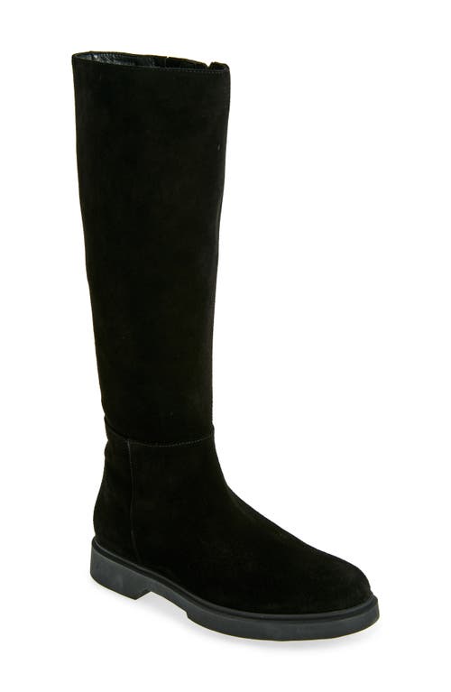 AQUATALIA AQUATALIA HALENA WEATHERPROOF TALL BOOT