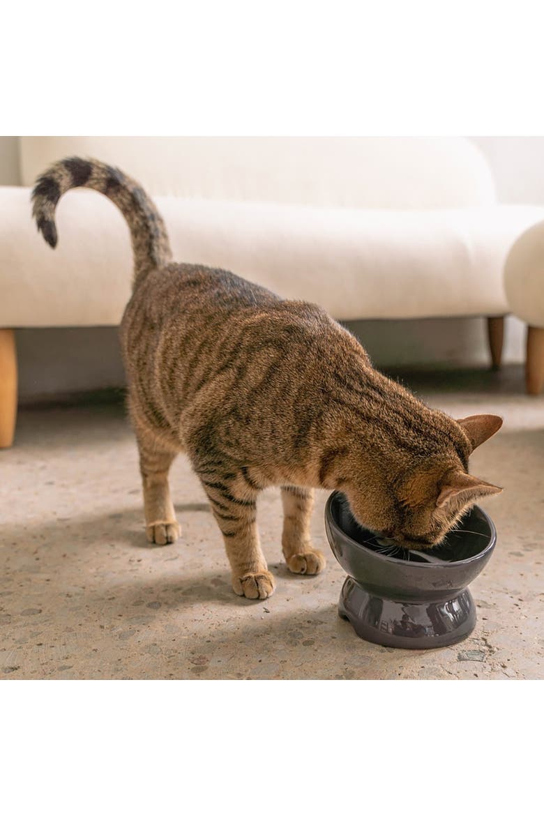 Elevated Ceramic Cat Bowl, Grey, 7oz, Alternate, color, Gray