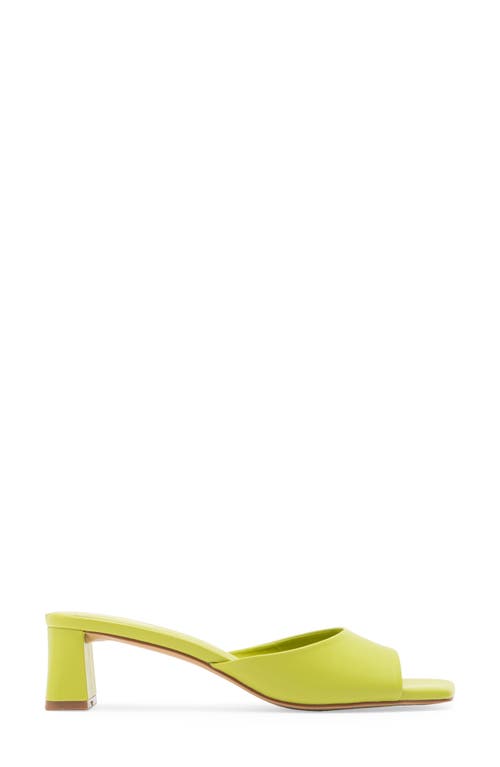 Abound Jenny Mule Sandal
