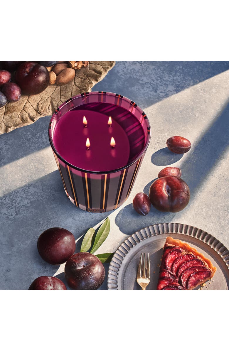 NEST New York Autumn Plum Four-Wick Luxury Candle, Alternate, color, 