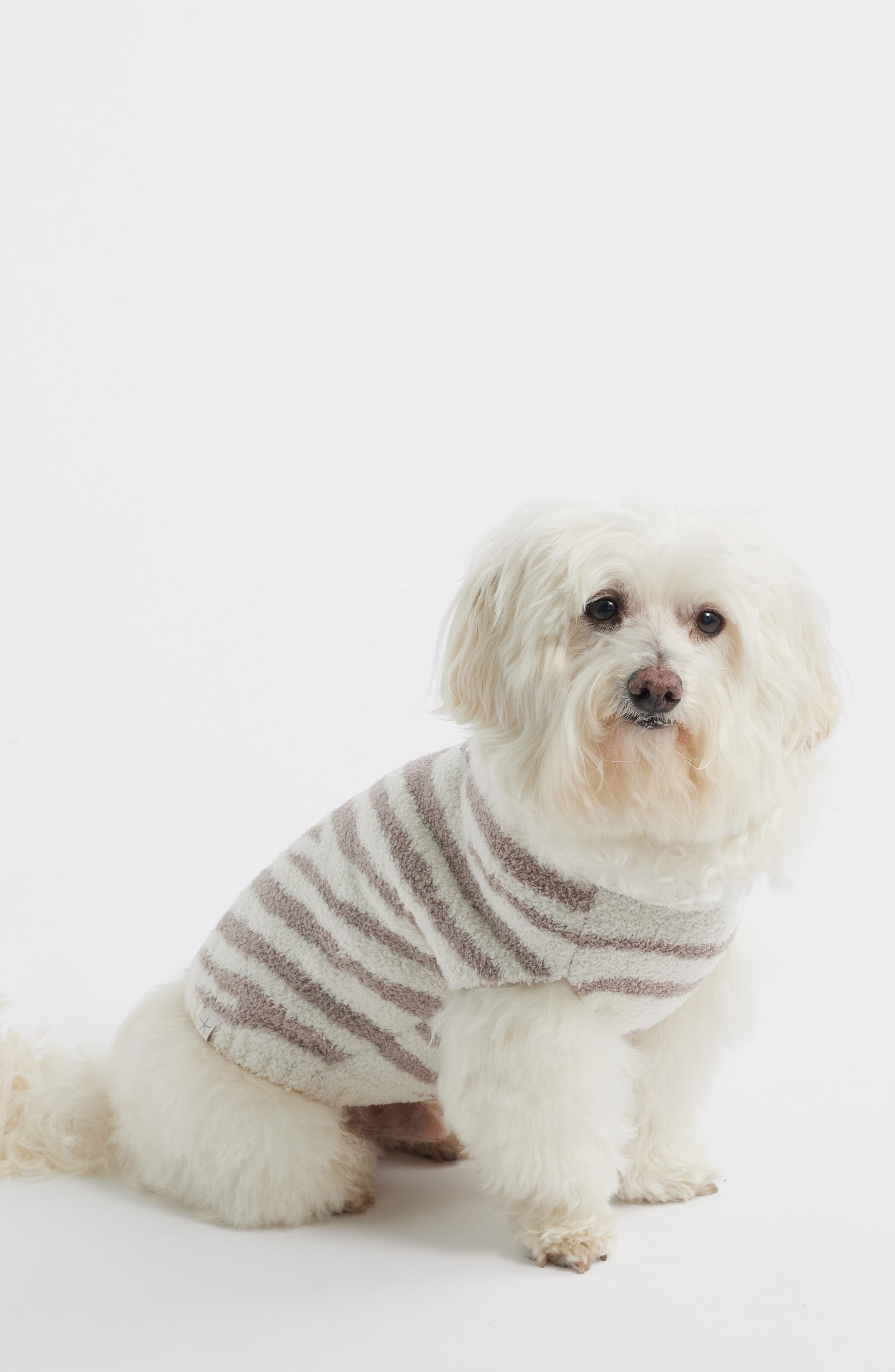 犬服・アクセサリー BAREFOOT DREAMS PET Barefoot Dreams® CozyChic® Zebra Stripe Pet Sweater | Nordstrom