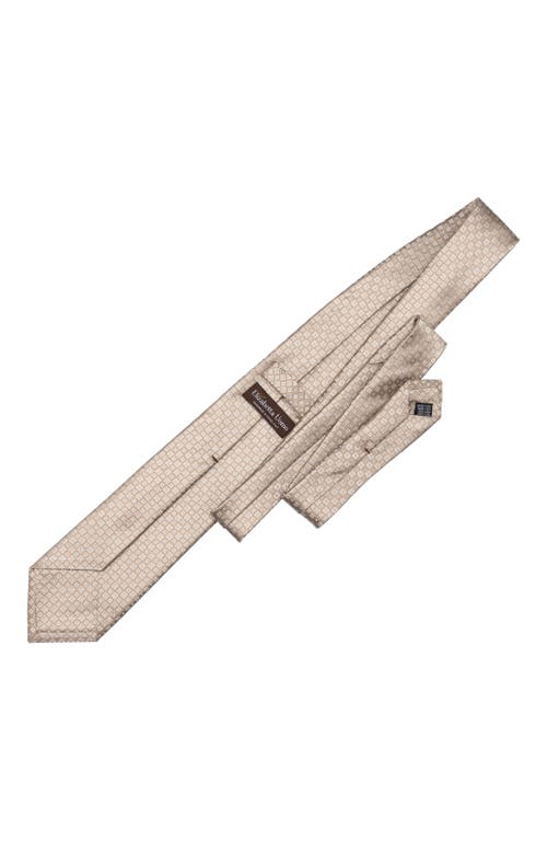 Elizabetta Ravenna In Neutral