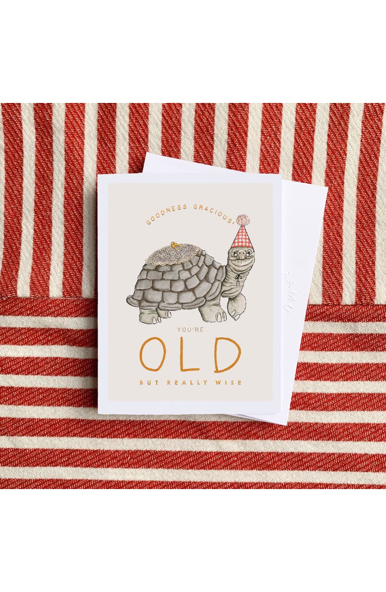 Ramus & Co Birthday Greeting Card Pack Sets (3 ct) Old Turtle, Alternate, color, Multi-Pack
