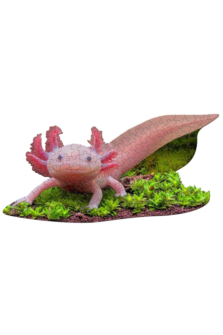 I Am Lil Axolotl 100 Piece Animal Shaped Puzzle, Alternate, color, Multicolored
