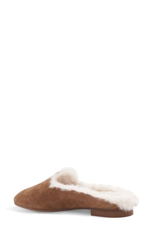 Aquatalia Rosabella Faux Fur Lined Leather Mule In Brown