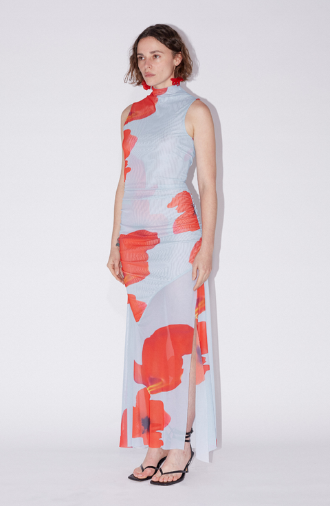 Floral Printed Mesh Dress