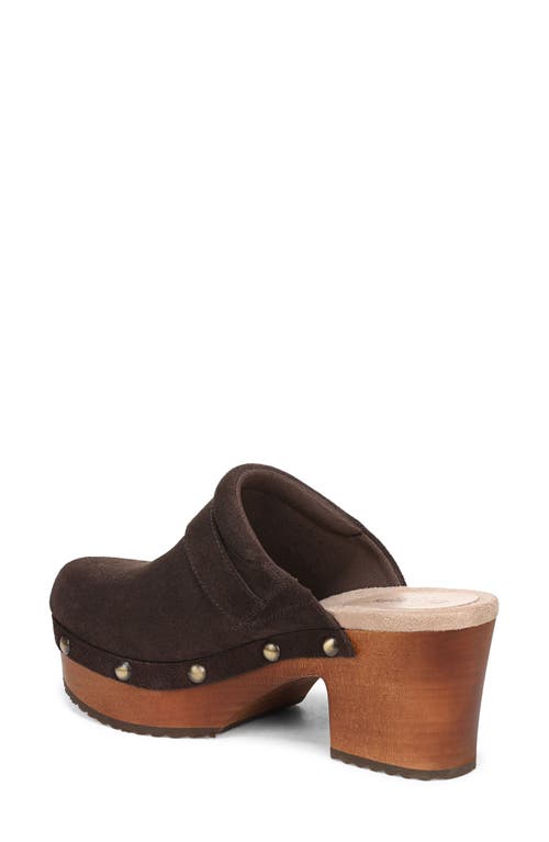 Dr. Scholl's Original Collection Joy Platform Clog In Brown