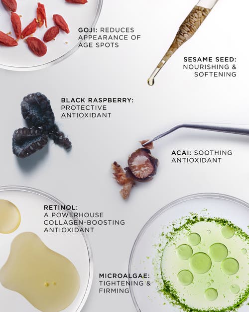 Noble Panacea The Absolute Active Replenishing Moisturizer Refill In Multi