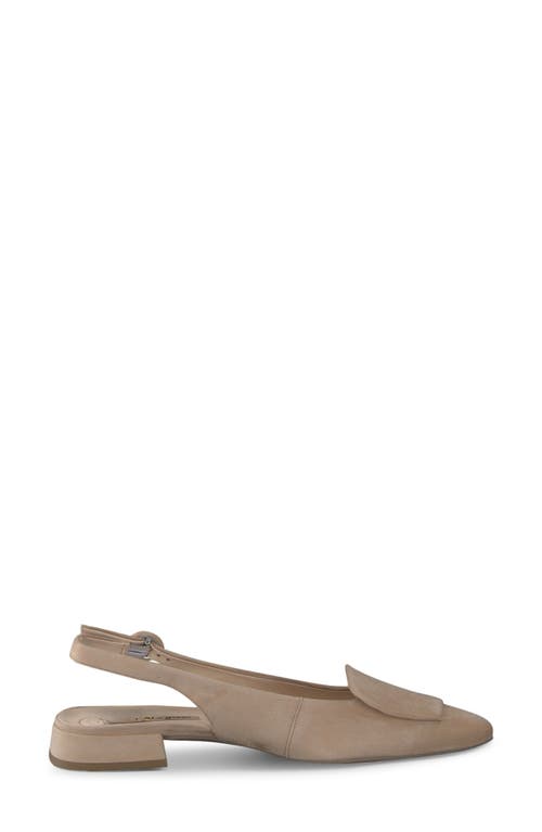 Paul Green Viola Slingback Pump