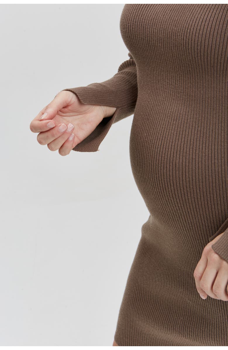 Nom Maternity Hudson Maternity & Nursing Long Sleeve Dress, Alternate, color, Taupe